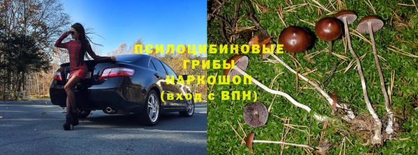 Альфа ПВП Абаза
