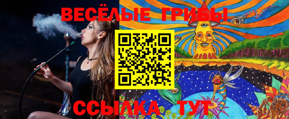 Протвино  Галлюциногенные грибы Psilocybine cubensis  Вход с VPN 